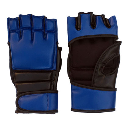 MMA Gloves